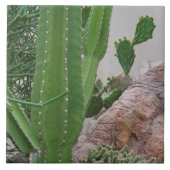 サボテン岩サボテン南西部の風景 タイル (正面)