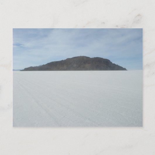 サボテン島 ポストカード (正面)