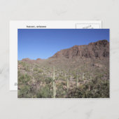 サボテン景観 ポストカード (正面/裏面)