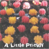 サボテン果実 シール (正面)