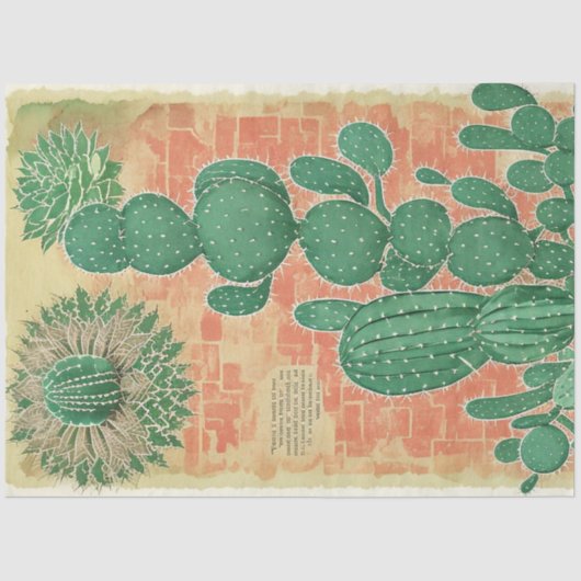 サボテン植物エフェメラコラージアートNo4 薄葉紙 (正面)