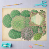 サボテン植物エフェメラコラージアートNo7 薄葉紙 (クラフト)