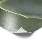 サボテン模様 フォトプリント            (角)