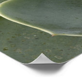 サボテン模様 ポスター (角)