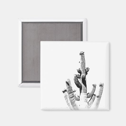 サボテン白黒フォトユニークアートフラワーおもしろい マグネット (正面/裏面)