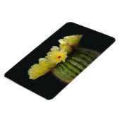 サボテン磁石 マグネット (左側)