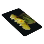 サボテン磁石 マグネット (右側)