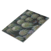 サボテン科 ノートパッド (アングル)