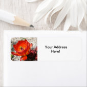 サボテン花の戻りラベル ラベル (インサイチュ)