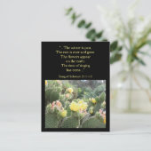 サボテン花の歌のソロモン葉書 ポストカード (スタンド正面)