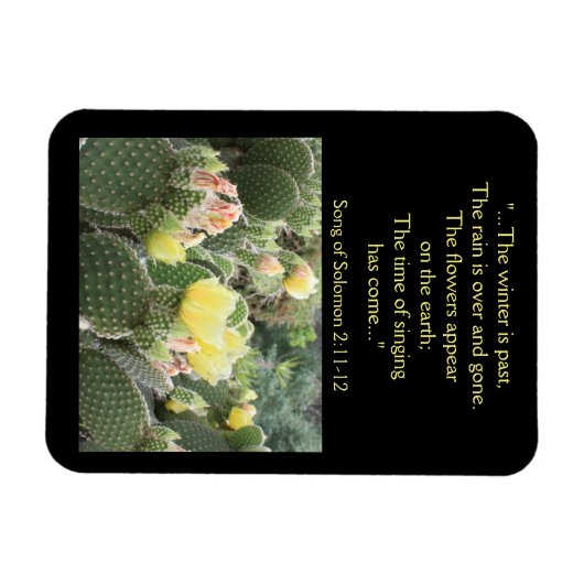 サボテン花ソロモンマグネットの歌 マグネット (横)