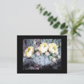 サボテン花デジタルインク ポストカード (スタンド正面)