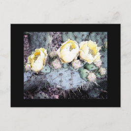 サボテン花デジタルインク ポストカード