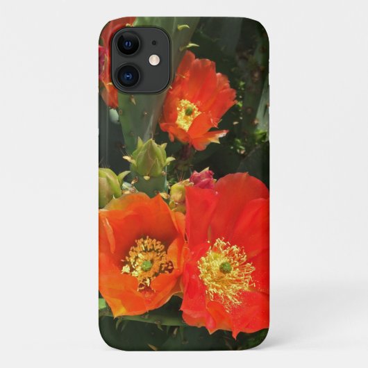 サボテン花写真明るい赤開花南西 Case-Mate iPhoneケース (裏面)