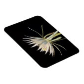 サボテン花磁石 マグネット (右側)