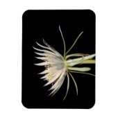 サボテン花磁石 マグネット (縦)