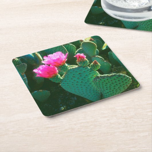 サボテン花 スクエアペーパーコースター (アングル)