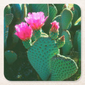 サボテン花 スクエアペーパーコースター (正面)