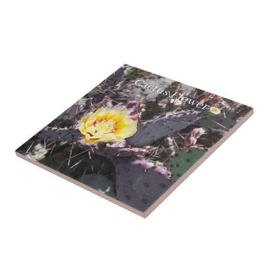 サボテン花 タイル (側面)