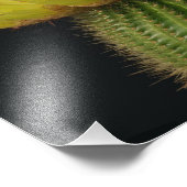 サボテン花 フォトプリント            (角)