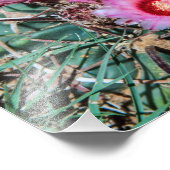 サボテン花 フォトプリント            (角)