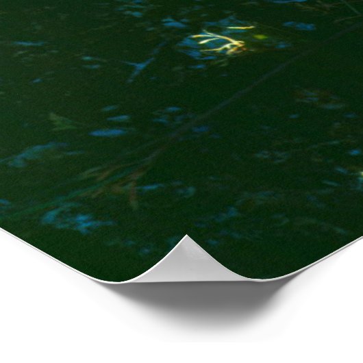 サボテン花 ポスター (角)