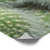 サボテン花 ポスター (角)