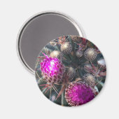 サボテン花 マグネット (正面/裏面)