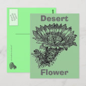サボテン葉書 ポストカード (正面/裏面)