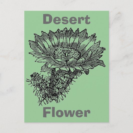 サボテン葉書 ポストカード (正面)