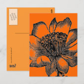 サボテン葉書 ポストカード (正面/裏面)