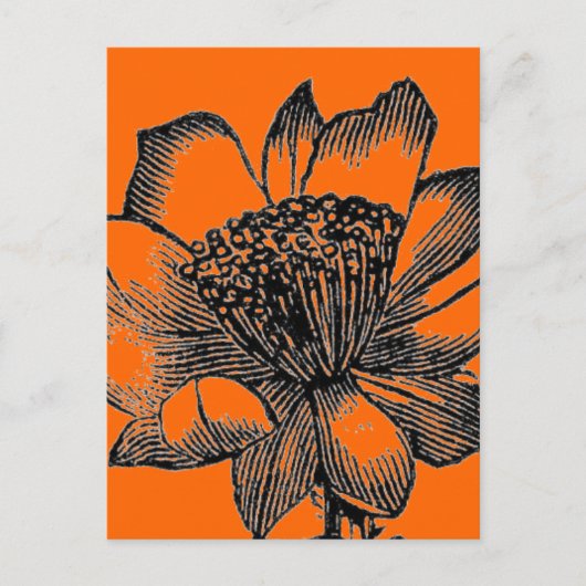 サボテン葉書 ポストカード (正面)