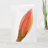 サボテン蘭バドオレンジフラワーアートノートカード カード (正面)