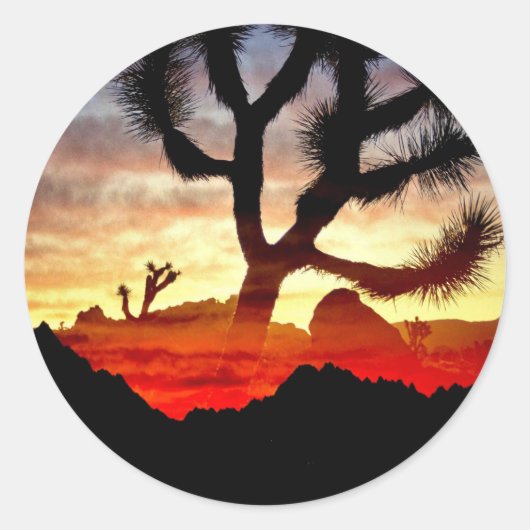 サボテン視力 ラウンドシール (正面)