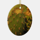 サボテン詳細撮影サークルオーナメント セラミックオーナメント (右)