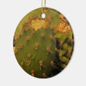 サボテン詳細撮影サークルオーナメント セラミックオーナメント (左)