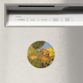 サボテン詳細撮影丸磁石 マグネット (インサイチュ (食洗機))