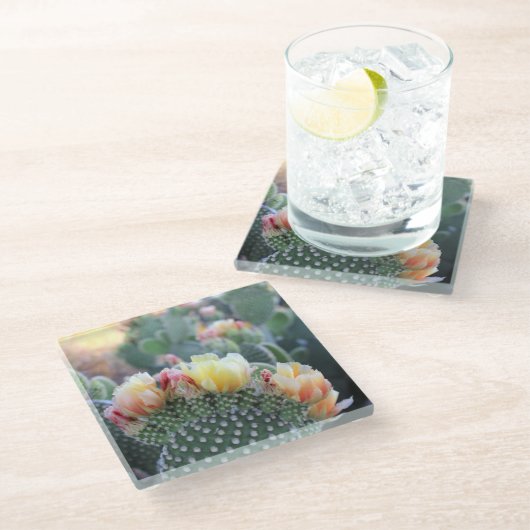 サボテン開花イエローピンク砂漠の花写真 ガラスコースター (アングル)