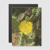 サボテン開花磁石 (正面/裏面)