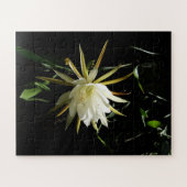 サボテン開花 ジグソーパズル (横)