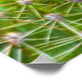 サボテン開花 ポスター (角)