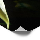 サボテン開花 ポスター (角)