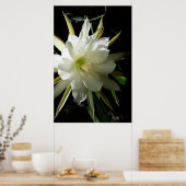 サボテン開花 ポスター (キッチン)