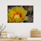 サボテン開花 ポスター (キッチン)