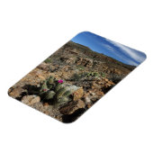 サボテン開花 マグネット (左側)