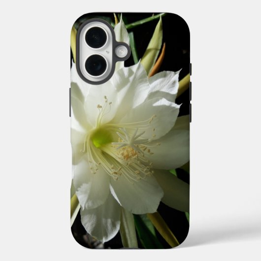 サボテン開花 Case-Mate iPhoneケース (裏面)