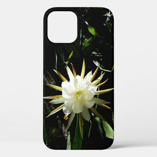 サボテン開花 Case-Mate iPhoneケース (裏面)