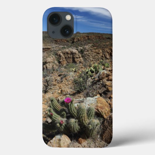サボテン開花 Case-Mate iPhoneケース (裏面)