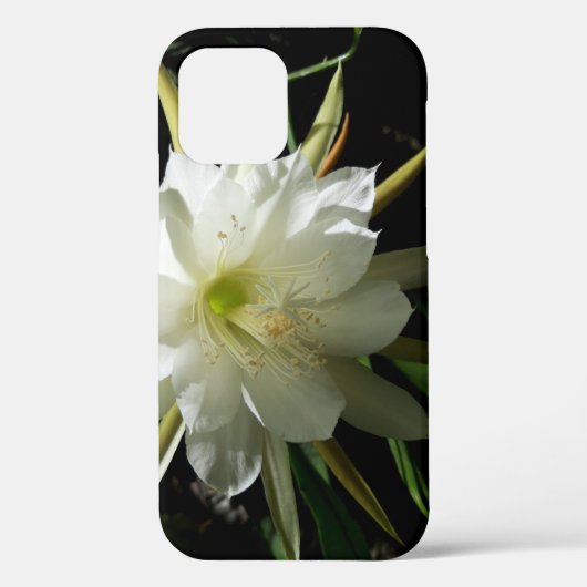 サボテン開花 Case-Mate iPhoneケース (裏面)