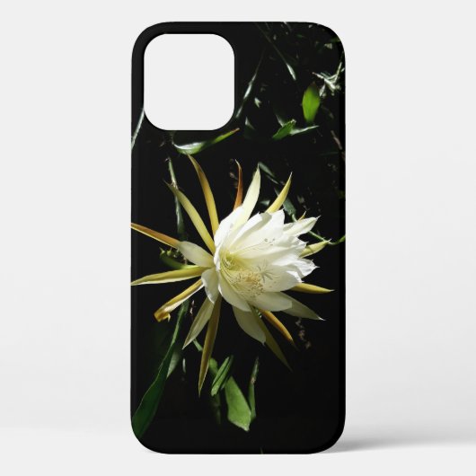 サボテン開花 Case-Mate iPhoneケース (裏面)